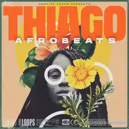 Godlike Loops Thiago Afrobeats [WAV, MiDi] - Sample Pack Artwork