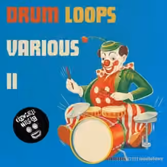 GowlerMusic Drum Loops Various Vol.2 Royalty Free Sample Pack #gm0128 [WAV]