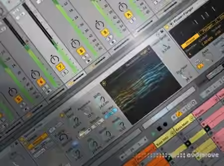 Groove3 Ableton Live 11 Explained [TUTORiAL] - Sample Pack Artwork