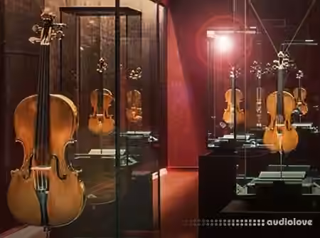 Groove3 CREMONA QUARTET Explained® [TUTORiAL] - Sample Pack Artwork