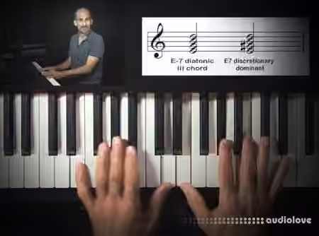 Groove3 Navigating Chord Progressions [TUTORiAL] - Sample Pack Artwork