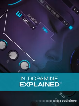 Groove3 NI Dopamine Explained [TUTORiAL]