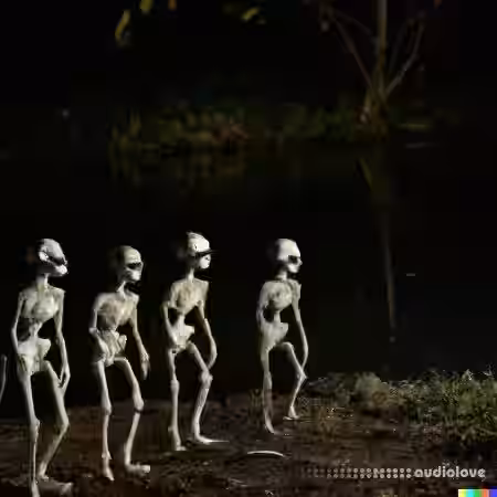 gyard Skeletons by Gyard [WAV] - Sample Pack Artwork