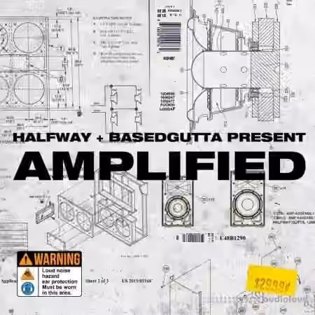 Halfway & Based Gutta Amplified Vol.9 (ElectraX Bank) [Synth Presets] - Sample Pack Artwork