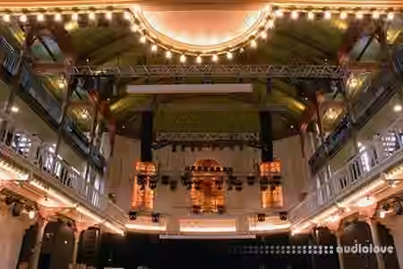 Hammerstein Ballroom for Audio Ease Altiverb [Plugins Presets] - Sample Pack Artwork
