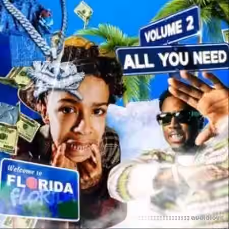 Hawky Whydah All You Need 2 (Florida Multi-Kit) [WAV, MiDi, Synth Presets, DAW Templates] - Sample Pack Artwork