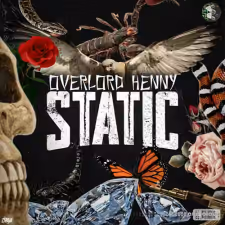 Henny Static Vol.1 [WAV, DAW Templates] - Sample Pack Artwork