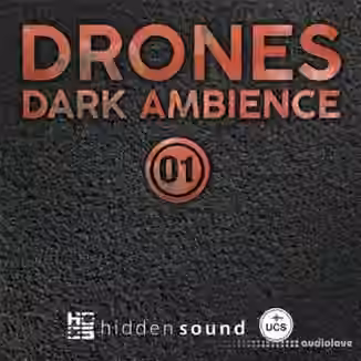 Hidden Sound Drones Dark Ambience 01 [WAV]