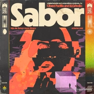 Hijo De Ramon Music Library 25 Sabor (Compositions and Stems) [WAV]