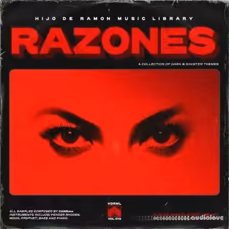 Hijo De Ramon Music Library Vol. 10 Ramones (Compositions and Stems) [WAV] - Sample Pack Artwork