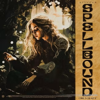 Hive Audio Spellbound Drum Kit [WAV]