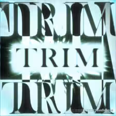 HOLOGRAM and SHAZY Trim Sound Kit [WAV, MiDi] - Sample Pack Artwork