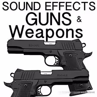 Holy Cow Sound Effects Group Guns and Weapons Sound Effects [FLAC]