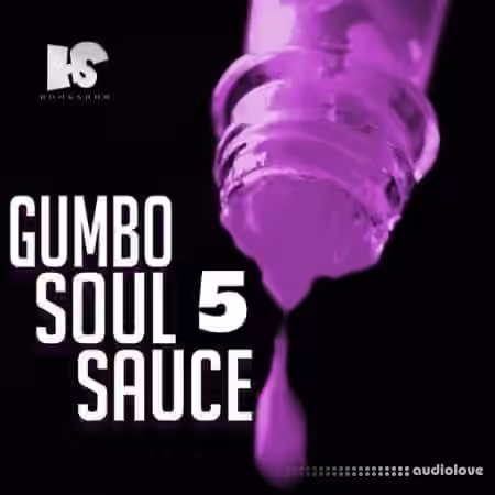 HOOKSHOW Gumbo Soul Sauce 5 [WAV] - Sample Pack Artwork