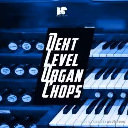 HOOKSHOW Next Level Organ [WAV] - Sample Pack Artwork