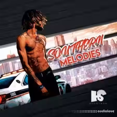HOOKSHOW Southern Melodies 6 [WAV] - Sample Pack Artwork