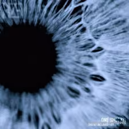 HZE Iris One Shot Kit [WAV] - Sample Pack Artwork