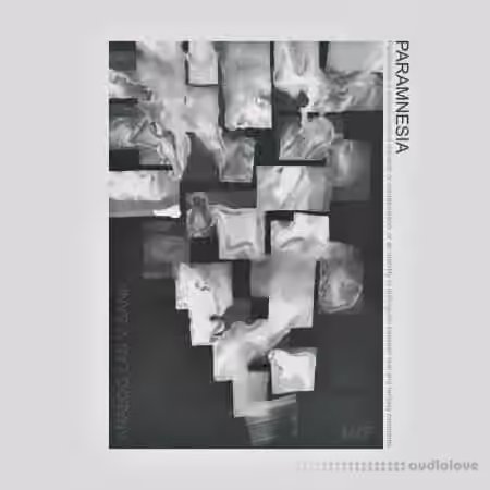 HZE Paramnesia (ANALOG LAB V BANK)+[PRE-ORDER BONUS BANK] [Synth Presets] - Sample Pack Artwork