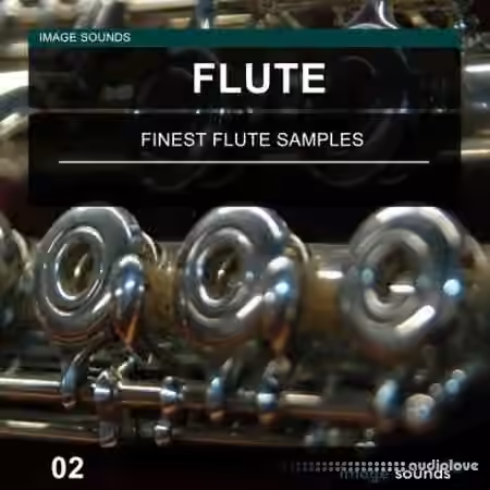 Image Sounds Flute 02 [WAV] - Sample Pack Artwork