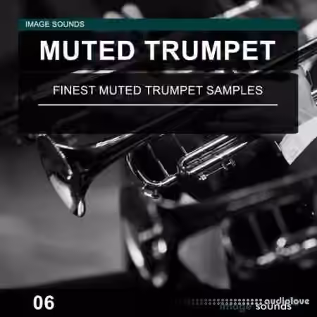 Image Sounds Muted Trumpet 06 [WAV] - Sample Pack Artwork