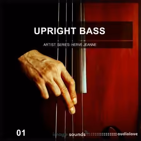 Image Sounds Upright Bass 1 [WAV] - Sample Pack Artwork
