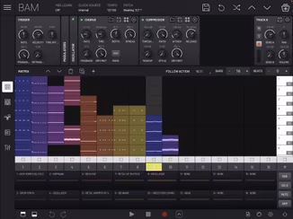 Imaginando BAM v1.5.1 [WiN]