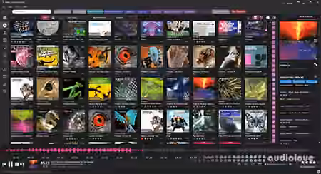 Imploded Software Helium Streamer v4.0.1.1348 [WiN] - Sample Pack Artwork
