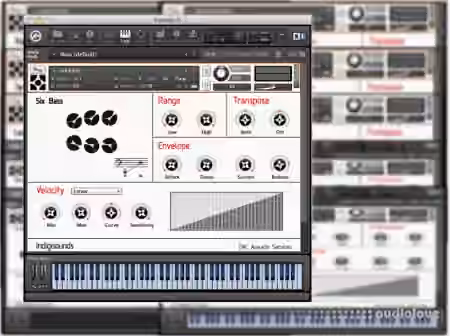Indigisounds Steelpan Samples [KONTAKT] - Sample Pack Artwork