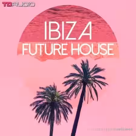 Industrial Strength TD Audio Ibiza Future House [WAV] - Sample Pack Artwork