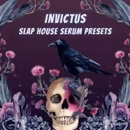 Infinity Audio Invictus Slap House [Synth Presets] - Sample Pack Artwork