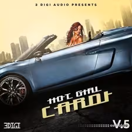 Innovative Samples Hot Girl Cardi 5 [WAV] - Sample Pack Artwork