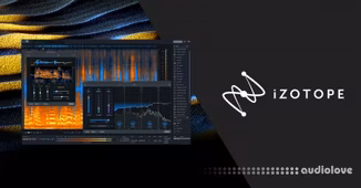 iZotope RX 11 Advanced v11.3.0.4679 [WiN]