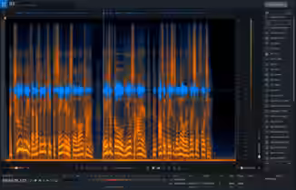 iZotope RX Pro for Music v9.1.0 [WiN]