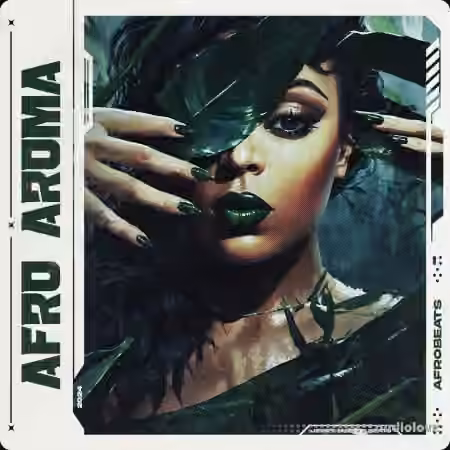 Jerry Martin Beats Afro Aroma [WAV, MiDi] - Sample Pack Artwork
