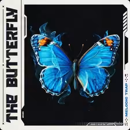 Jerry Martin Beats Butterfly [WAV, MiDi] - Sample Pack Artwork