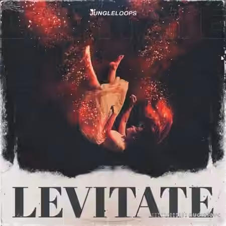 Jungle Loops Levitate [WAV, MiDi] - Sample Pack Artwork