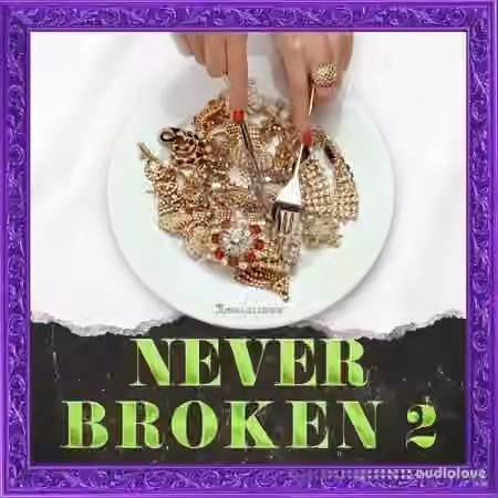 Jungle Loops Never Broken 2 [WAV, MiDi] - Sample Pack Artwork