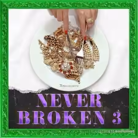 Jungle Loops Never Broken 3 [WAV, MiDi] - Sample Pack Artwork