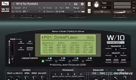 J├║nior Porci├║ncula W-10 [KONTAKT] - Sample Pack Artwork