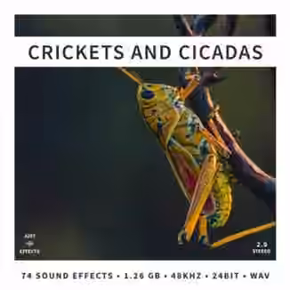 Just Sound Effects Crickets and Cicadas [WAV]