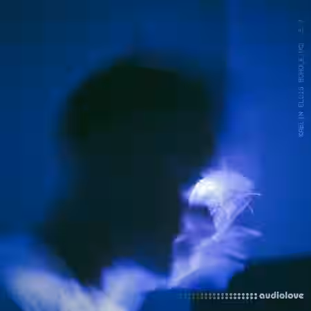 Kaelin Ellis Bundle Vol.5-7 [WAV, MiDi] - Sample Pack Artwork