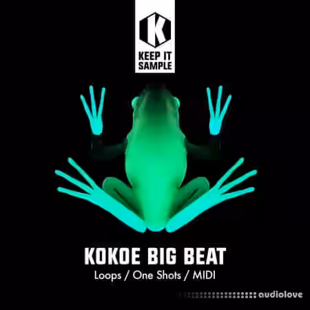 Keep It Sample Kokoe Big Beat [WAV, MiDi] - Sample Pack Artwork