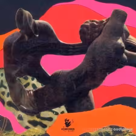 Komorebi Audio Classic Soul Samples [WAV] - Sample Pack Artwork