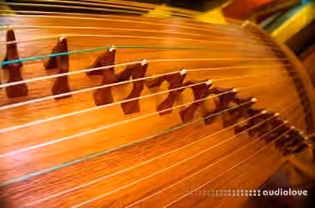 Kong Audio ChineeGuZheng [KONTAKT] - Sample Pack Artwork