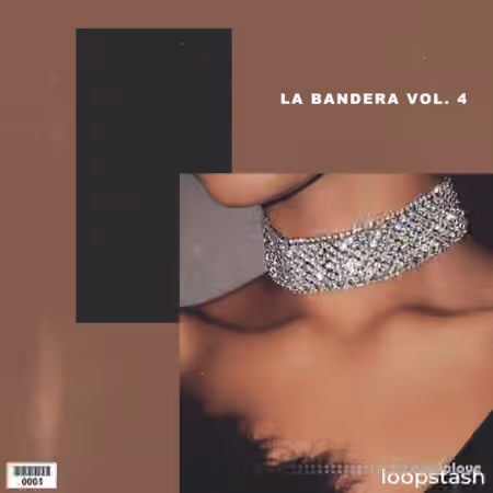 KXVI La Bandera Loop Kit Vol.4 [WAV] - Sample Pack Artwork