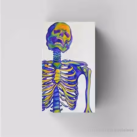 KyleStemberger Masquerade Loop Kit [WAV] - Sample Pack Artwork