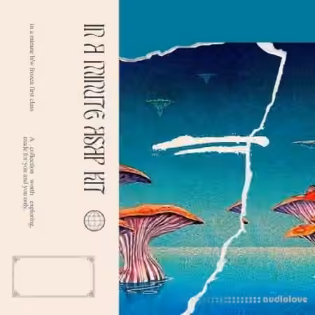 Lazerdisk In A Minute [WAV] - Sample Pack Artwork