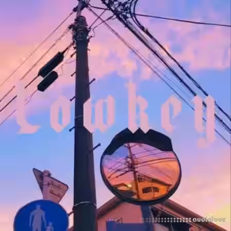 Lazerdisk Lowkey [WAV] - Sample Pack Artwork