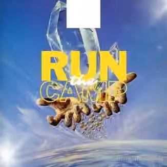Lazerdisk Run The Camp [WAV]