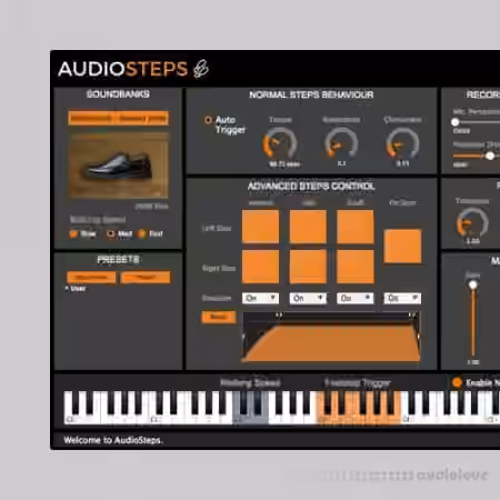LeSound AudioSteps Pro Databanks v2.0 - Sample Pack Artwork
